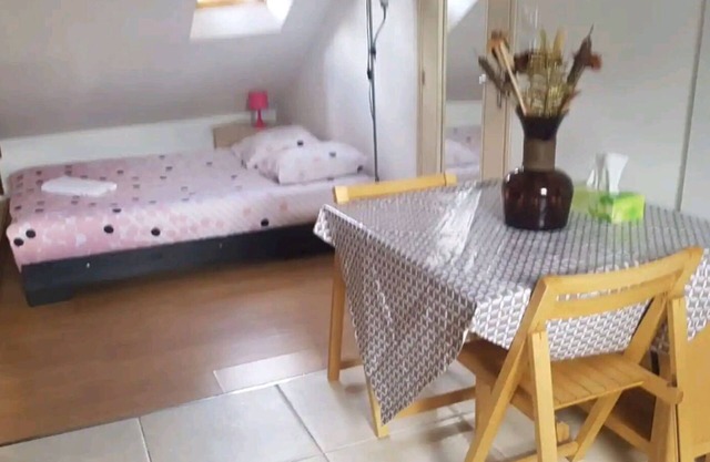Furnished studio in the city center