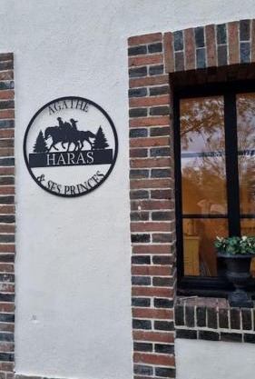 Gîte au Haras d'Agathe et ses princes