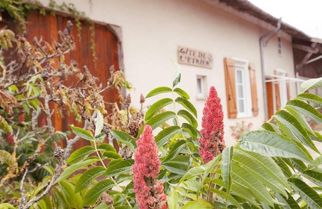 Gîte de l'Etrier 3 * : Le calme à la campagne !