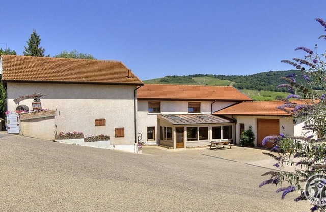 Gîte du Chais - FLEURIE