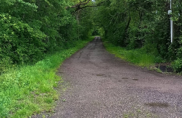 Gîte Indépendant Pouvant Accueillir Jusqu'à 4 Personnes, Situé Dans une Forêt