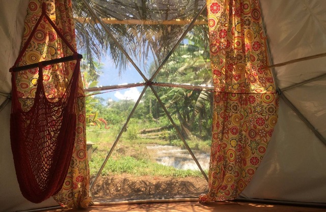 Geodesic Domes In The Jungle