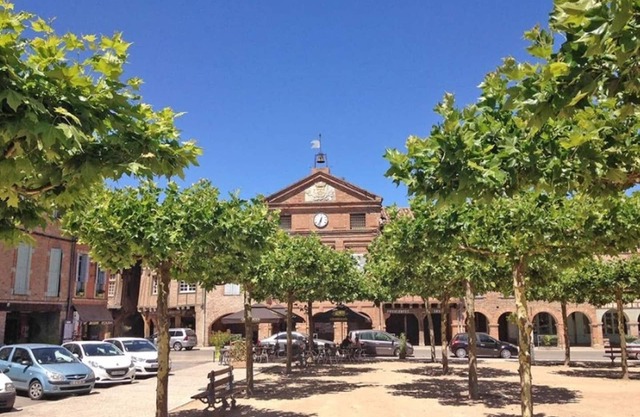 GITE 6 PEOPLE WITH POOL IN THE COUNTRY - ALBI-TOULOUSE AREA
