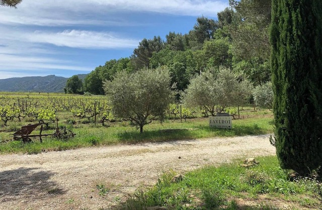 Gîte Amandier - in the Provencal farmhouse of Domaine Faverot