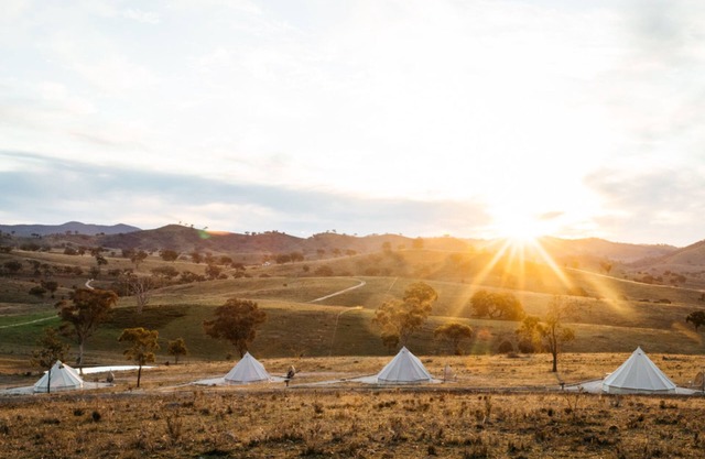 Glenayr Farm - Shiraz