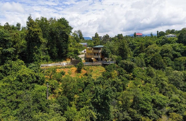 GoldenSeaView TreeHouse with Small Private Pool