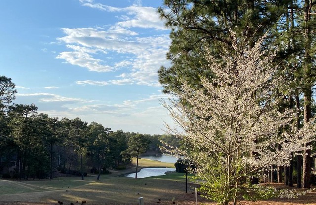 Golf Front SFH, 3 BR, 2 BA, 4 beds, sleep 6 on Pinehurst #6