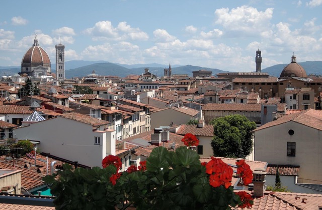 Gorgeous City View Apartment in the historical center High speed Wi-FI Elevator