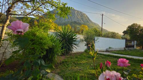 Grace and Harmony of Ancient Corinth