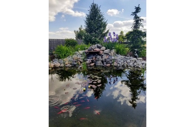 Great Garden Level Apartment with Mountain Views