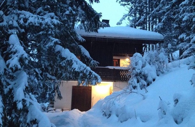 Great mountain chalet