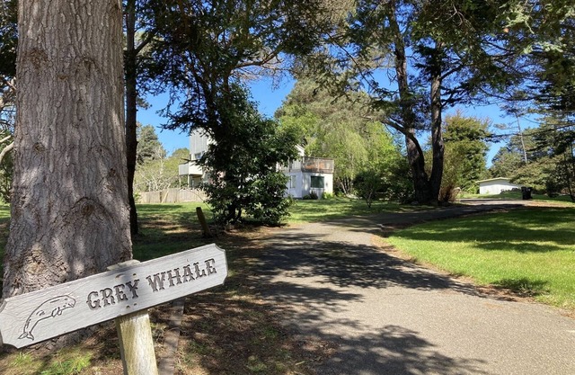 Grey Whale so close to so many beaches, hikes and more!