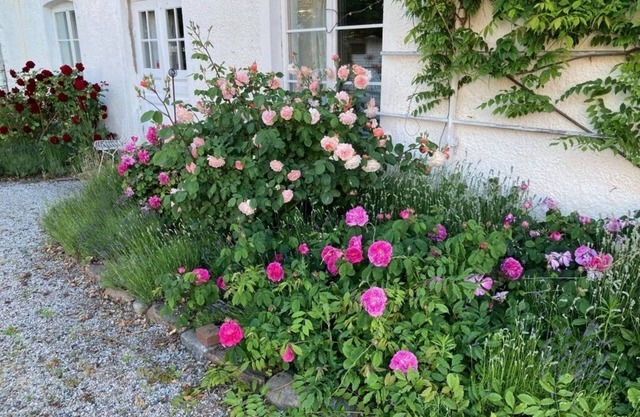 Ground floor apartment in charming turn of the century villa near the sea Båstad