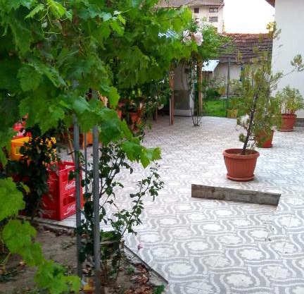 Guest House Dar