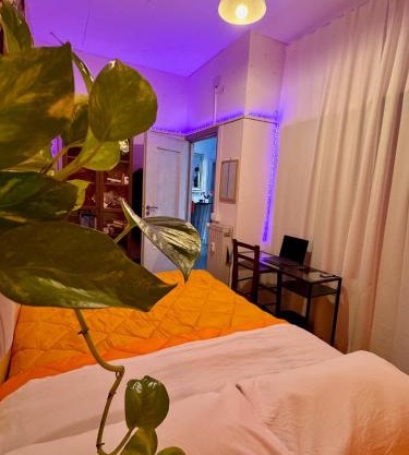 Guest House Romoli