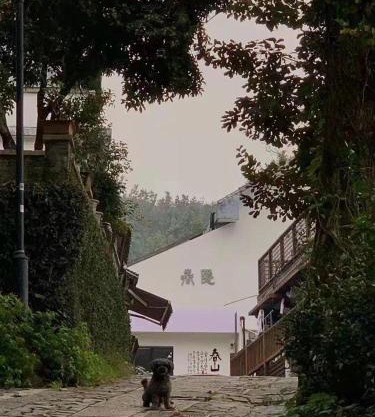 Hangzhou Spring B&B