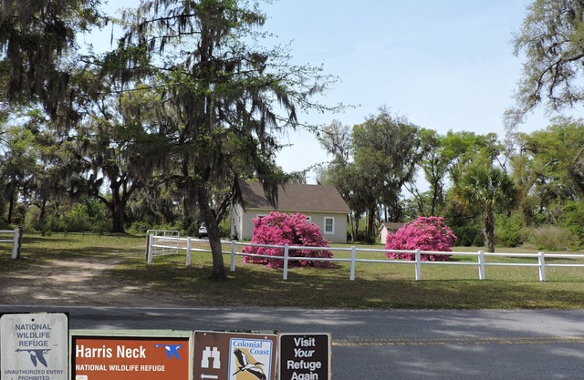 Harris Neck National Wildlife Refuge Cabin - Suite A