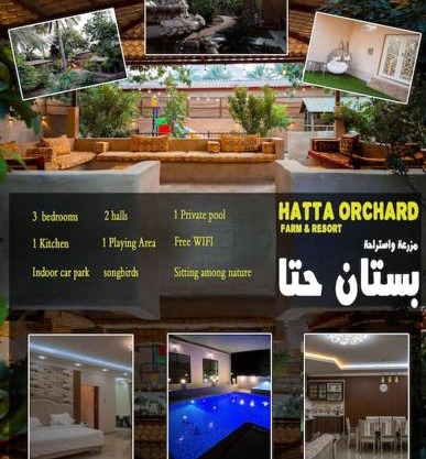 Hatta Orchard