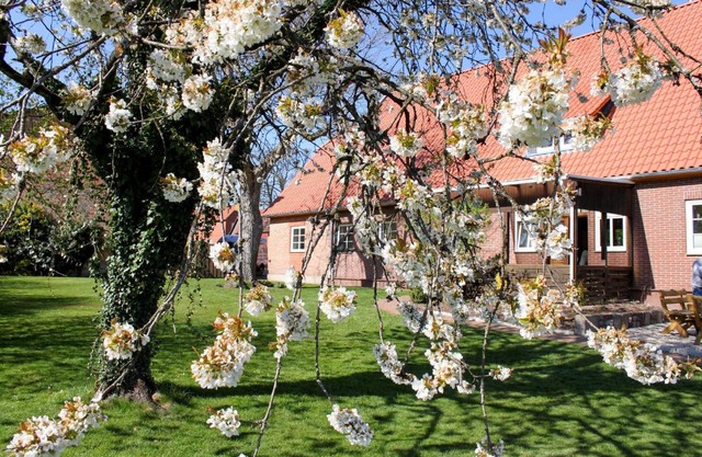 Haus Wöhling