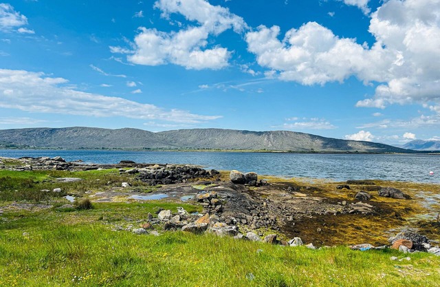 Hawthorn House Connemara