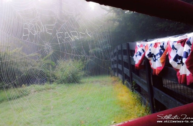 Henderson, TN Cottage Farmstay E-I-E-I-Oh, MY!