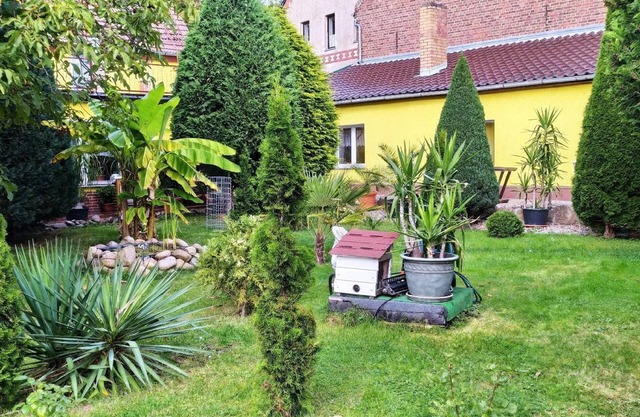 Holiday apartment Herzberg for 1 - 2 persons with 1 bedroom - Holiday apartment