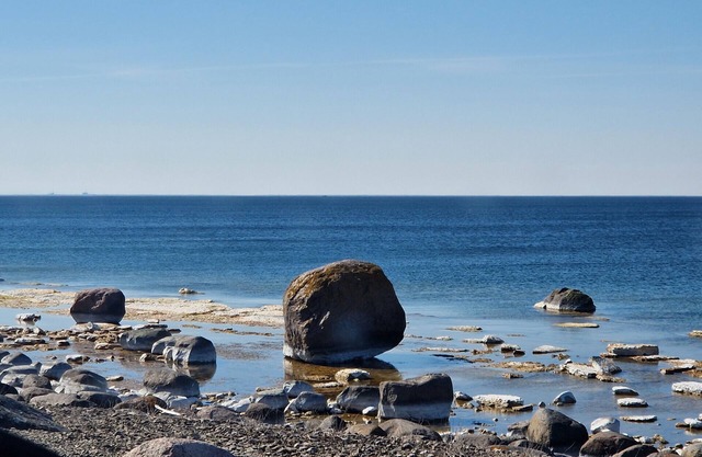 Holiday between forest and paddocks in Småland