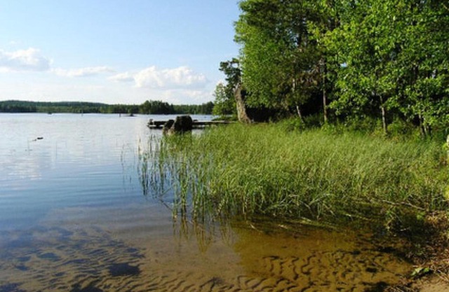 Holiday Home Pynnölänniemi by Interhome