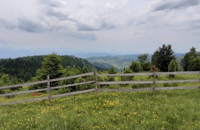 Holiday in the forest with beautiful view of the city of Sarajevo