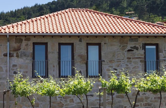 Homerez - House in Riba de Mouro