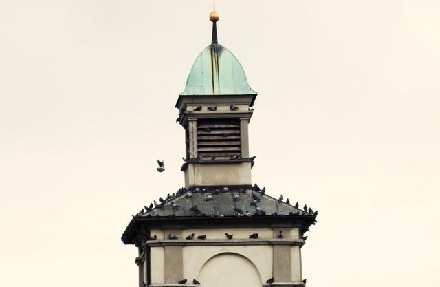 Hotel Hecht