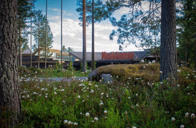 Hotel Mesikämmen