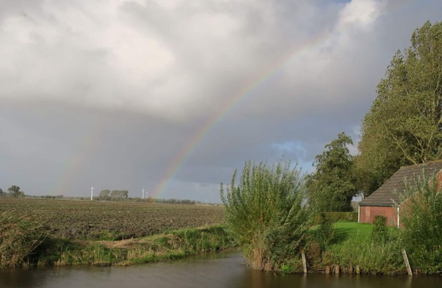 House on the canal near Greetsiel, rowing boat fishing directly from the jetty, pets allowed