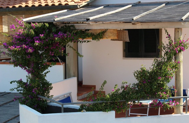 house on the coast of the sun a100 m. from the sea Chiessi