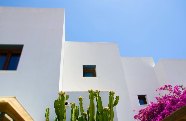 House/Villa - RODALQUILAR