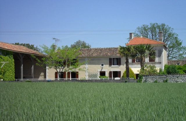 House with pool in the vineyards of Cognac