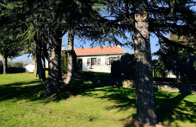 HOUSE * WITH PRIVATE SPA/SAUNA, 20 MINUTES FROM PUY DU FOU