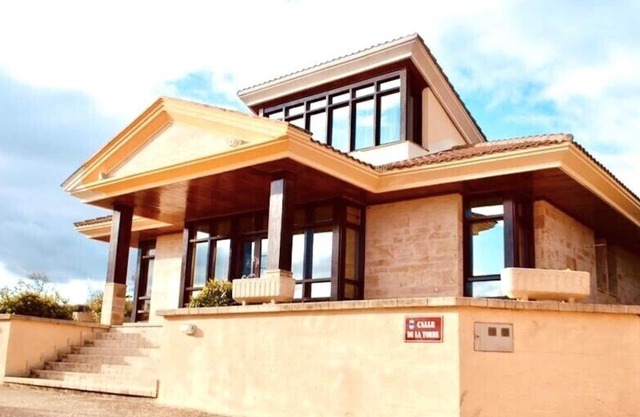 Individual chalet with winery among vineyards