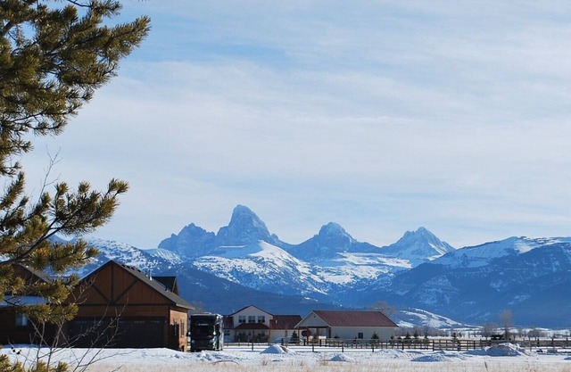 Irish Eyes on the Tetons in Teton Valley