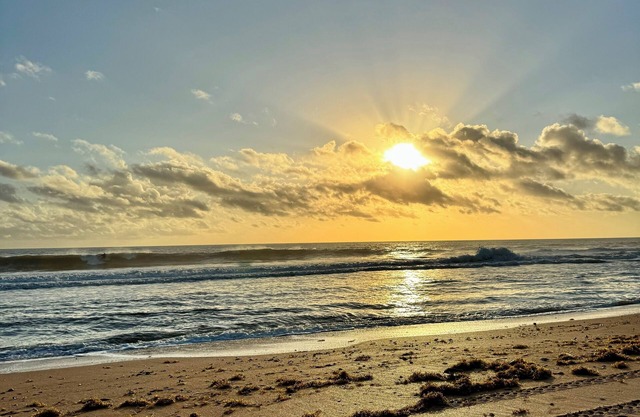 It's beach time! Enjoy the sunshine!