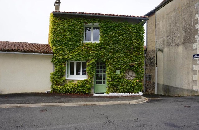 Ivy house