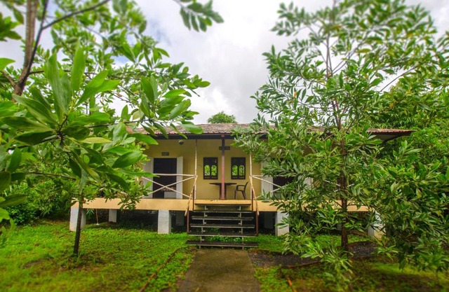 JenJon Wood County Phansad Alibaug