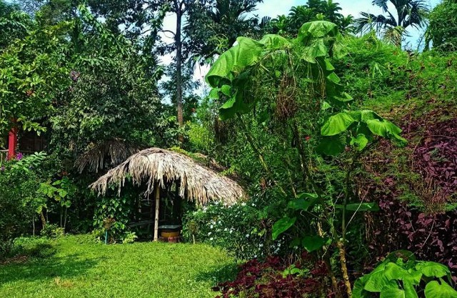 Kaziranga Abode.