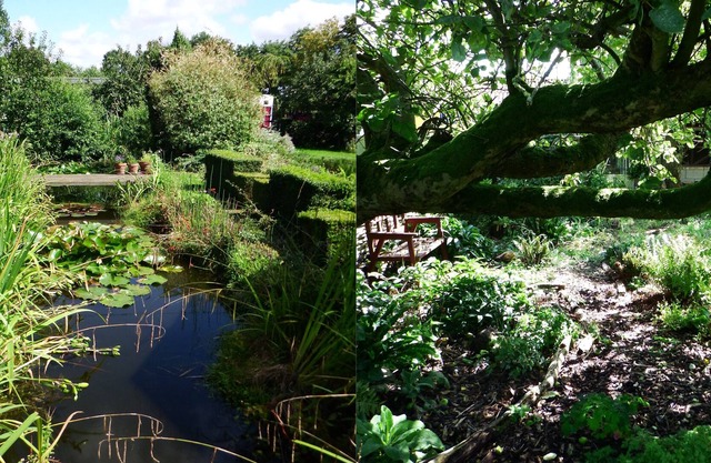 Kenilworth Garden Accommodation