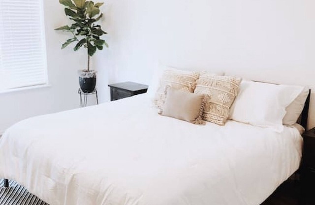 King Bed Suite! Pike Peak Views! Private Entrance.