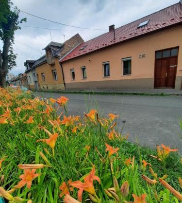 Kis Rigó vendégház