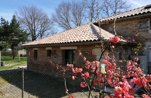 L' Amandier