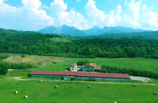 "La Cantina" Apartment at Agriturismo La Preduscella