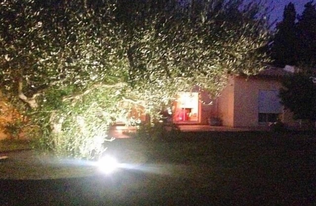 La Casa Nert