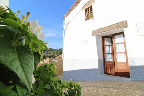 La Casita del Chopo by SIERRA VIVA